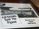 GENESIS Spot Pigeon Fidelity  BLUE 12 INCH VINYL SEALED 45RPM  33 1/3
