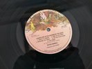 VAN DER GRAAF GENERATOR/PETER HAMMILL - CHAMELEON IN THE SHADOW UK LP*STUNNING*