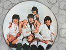 The Beatles yesterday and today, Picture Disc