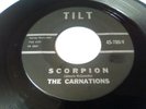 The Carnations 