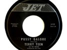 TERRY TEEN & The TWEAKS 45 Pussy Galore JET Rc 66 Hear A+ JAMES BOND 007 Novelty