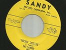 ROCKABILLY bw DOOWOP  - RAY SAWYER - ROCKIN SATELLITE  - HEAR-1960 ALABAMA SANDY