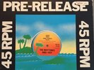 I-Roy Reggae 1979 Vinyl Maxi 12“ The Maytones Lone Ranger