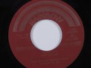 Spoken Word Punk 45 ALLEN GINSBERG Prayer For John Sinclair RAINBOW HEAR
