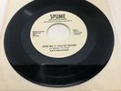 KATE MALECKAR TENOR Stop Me RARE PRIVATE PRESS 1982 Cleveland No Wave Synth Punk
