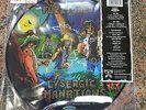The Fuzztones ?– Lysergic Emanations  ' LP RSD 2020  picture