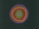 LOCUST - The Plaintive - Vinyl (limited LP)