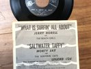 JERRY NORELL & BEACH GIRLS / MORTY JAY & SURFERIN’ CATS  LEGEND + picture Sleeve