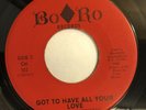 ROY ROBERTS   GOT TO HAVE ALL YOUR LOVE  BO RO RECORDS  Rare Orig. Northern Soul