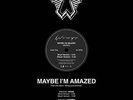 PAUL MCCARTNEY & WINGS Rare  RSD  Maybe I'm Amazed Vinyl 12