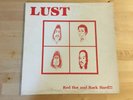 Massachusetts Based Hard Rock Band LUST LP 