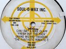 GRAND WIZARD THEODORE - Can I Get A Soul - 12 RARE ELECTRO RANDOM RAP;INDIE;HIPH