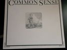 JOHN PRINE “Common Sense” Vinyl Record NM VG Cover LP Atlantic SD 18127 70s