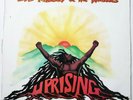Bob Marley & The Wailers ?– Uprising LP Colombian Press 1980 Ariola