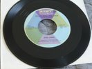 Jesse James - South's Gonna Rise Again / Red Hot Rockin Blues