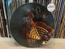 Iggy Pop *SIGNED Cold Metal Picture Disc 12