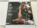KID ROCK -GREATEST HITS YOU NEVER SAW- 2LP Vinyl Record- DEVIL WITHOUT A CAUSE