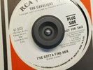 VG++ Cavaliers RCA I'VE GOTTA FIND HER
