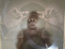 Jay Z Black Album 12inch Vinyl ( Gatefold X 2 LP)
