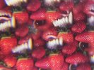 Thee Oh Sees - Floating Coffin LP - VINYL ALBUM - SEALED NEW RECORD + DL