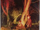 ECHO AND THE BUNNYMEN: Crocodiles US 1st Press Sire New Wave LP Vinyl