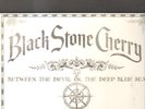 BLACK STONE CHERRY - between the devil & the deep blue sea LP