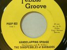 Sandpebbles - Handclapping Spouge / Girl I Want It 45 Pebble Groove Calypso Funk