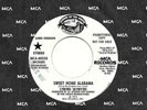 Lynyrd Skynyrd 45 SOUNDS OF THE SOUTH 40258 