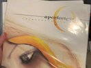 a perfect circle - Thirteenth Step 12