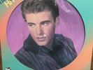 Rick Nelson Greatest Hits, Picture Disc, Rhino (1985)