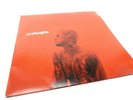 Justin Bieber Changes (2 LP - Red Vinyl)
