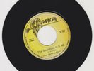 APACHE/ THE BEGINNING OF IT ALL - JUNIOR SINCLAIR (76 REGGAE ROOTS 7