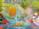 Secret of Mana Vinyl LP Soundtrack - not moonshake Game Record Square Nintendo