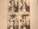 prog IL BALLETTO DI BRONZO 