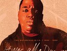 NOTORIOUS BIG It Was All A Dream 1994-1999 BOX 9 LP Limited (RSD20) NUOVO .cp