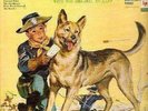 Adventures Of Rin Tin Tin - Vinyl LP ( Ex Cond.)