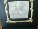Ozzy Osbourne QTY 3 AUTOGRAPHED COA's from See You On The Other SIde Box
