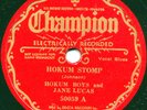 BLUES - HOKUM BOYS & JANE LUCAS 