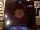 Ruston Kelly Shape & Destroy LP sealed vinyl + 8x10 photo limited 347/500 indie