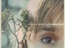 Breakdown + Art Prints Melissa Etheridge vinyl LP album record USA