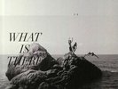 DELTA SPIRIT - What Is There - Vinyl (180 gram marbled vinyl LP + booklet)