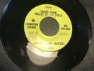 ‘67 DETROIT NORTHERN SOUL / PSYCH - THE PLEASURE SEEKERS -TIGERS BACK -PROMO