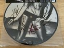 CAGE THE ELEPHANT Free Love debut 7