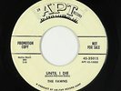 Girl Group Doo-Wop 45 - Fawns - Until I Die - Apt - mp3