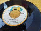 EX UK HARRY J REGGAE/SKA 45 - ROY PANTON - THE SAME OLD LIFE
