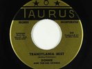 Doo-Wop Halloween 45 - Donnie & Del Chords - Transylvania Mist - Taurus VG++ mp3