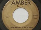 Garage Psych HARBINGER COMPLEX Tomorrow's Soul Sound VG+ AMBER 45 HEAR