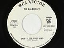 Garage Psych 45 - Galaxies IV - Don't Lose Your Mind - RCA Victor - VG++ mp3
