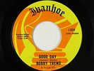 Psych Funk 45 - Bobby Trend - Good Day/Judy - Ivanhoe - VG+ mp3