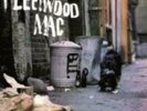Fleetwood Mac: Peter Green's Fleetwood Mac :LP vinyl: